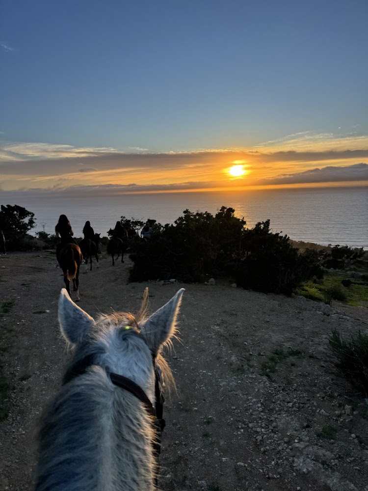 Horse Riding Taghazout 5